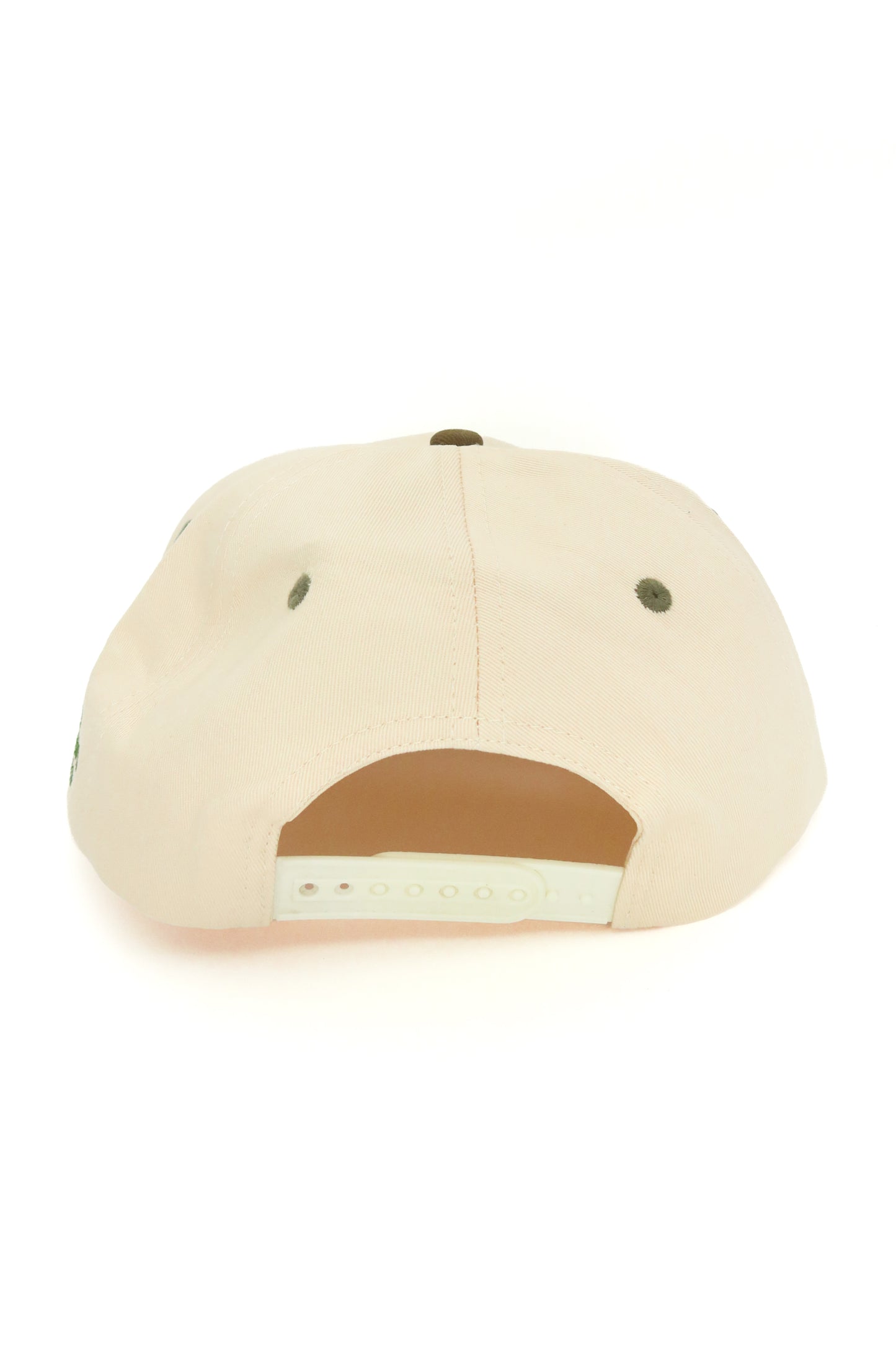 Beaver Lake Snapback
